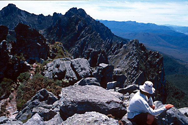 Bushwalking