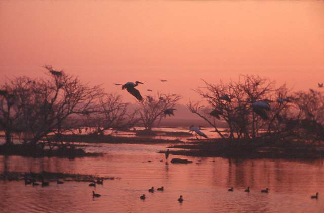 Landscapes